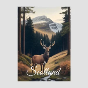 Scotland - Stag