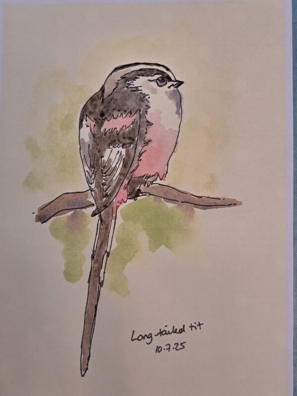 Art Taster Sessions - Image 3