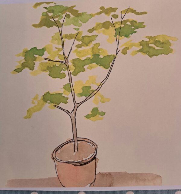 Art Taster Sessions - Image 2