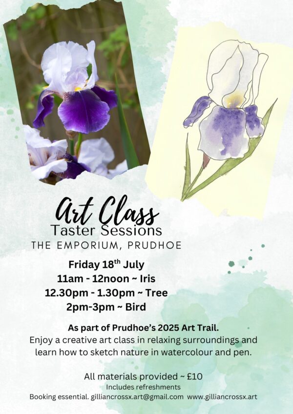 Art Taster Sessions