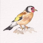 Prudhoe Art Trail Taster Sessions with @GillianCross 10th July 2026